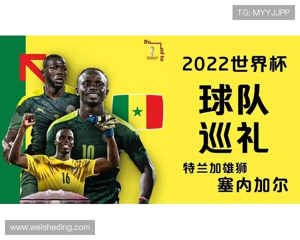 塞内加尔进入世界杯32强:第三名身份完成出线 塞内加尔进入世界杯32强:第三名身份完成出线